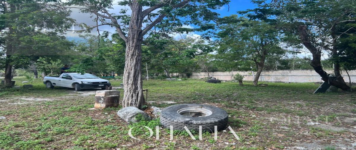 Foto de terreno habitacional en venta en  , alfredo v bonfil, benito juárez, quintana roo, 27219094 No. 04