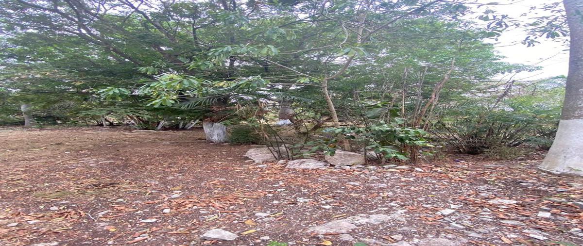 Foto de terreno habitacional en venta en  , alfredo v bonfil, benito juárez, quintana roo, 0 No. 04