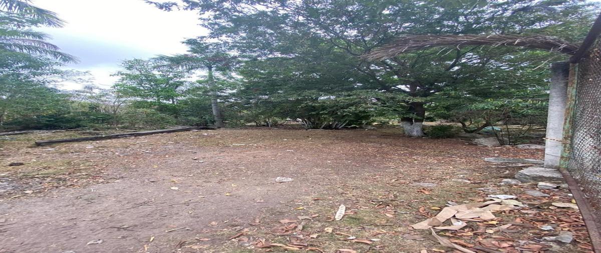 Foto de terreno habitacional en venta en  , alfredo v bonfil, benito juárez, quintana roo, 0 No. 05