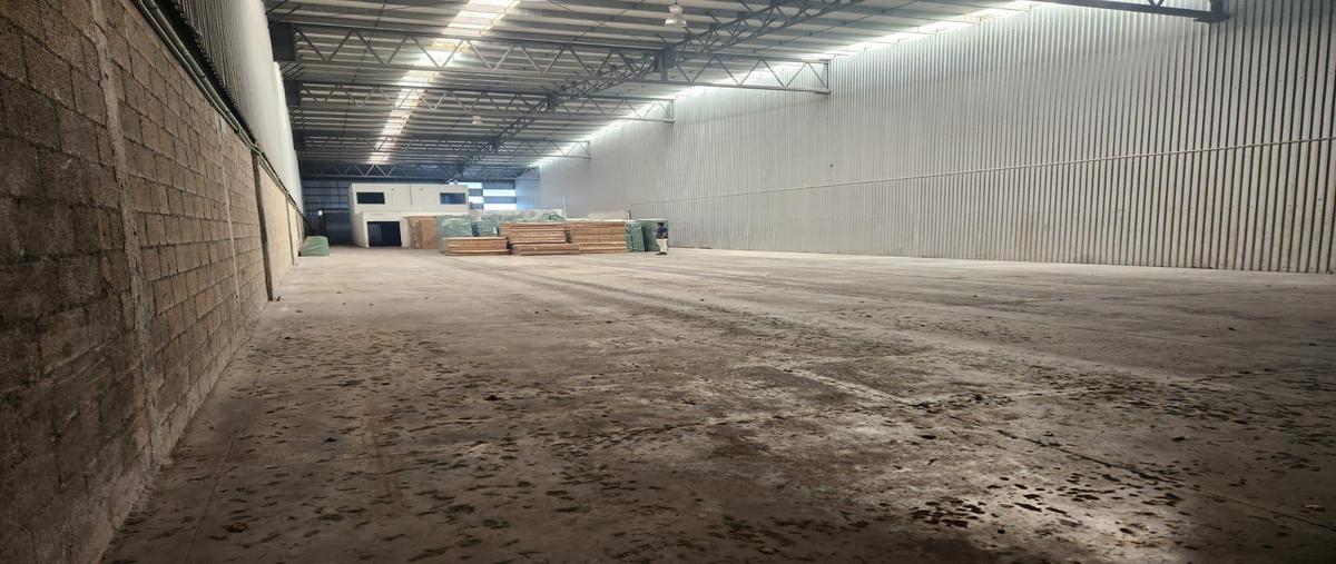 Foto de bodega en , alfredo v bonfil, benito juárez, quintana roo, 0 foto 02 Foto de bodega en renta en , alfredo v bonfil, benito juárez, quintana roo, 0 No. 02