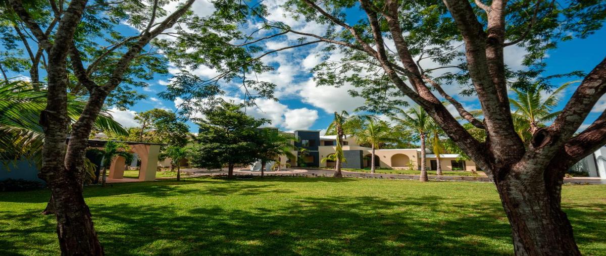 Foto de edificio en renta en  , alfredo v bonfil, benito juárez, quintana roo, 30047549 No. 04
