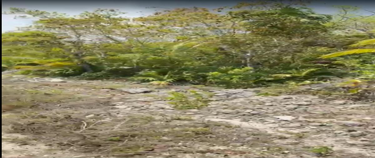 Foto de terreno habitacional en venta en  , alfredo v bonfil, benito juárez, quintana roo, 0 No. 03