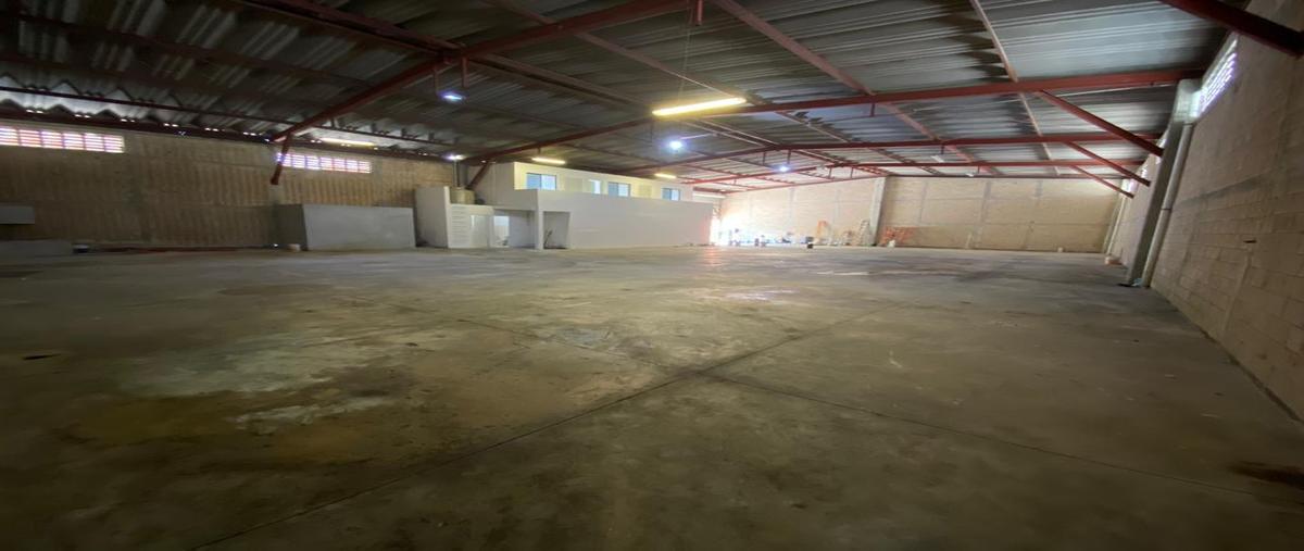 Foto de bodega en renta en  , alfredo v bonfil, benito juárez, quintana roo, 0 No. 05