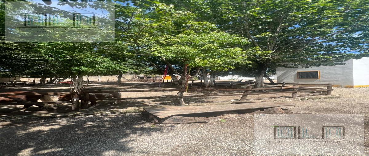 Foto de terreno habitacional en venta en  , alfredo v bonfil, benito juárez, quintana roo, 0 No. 04