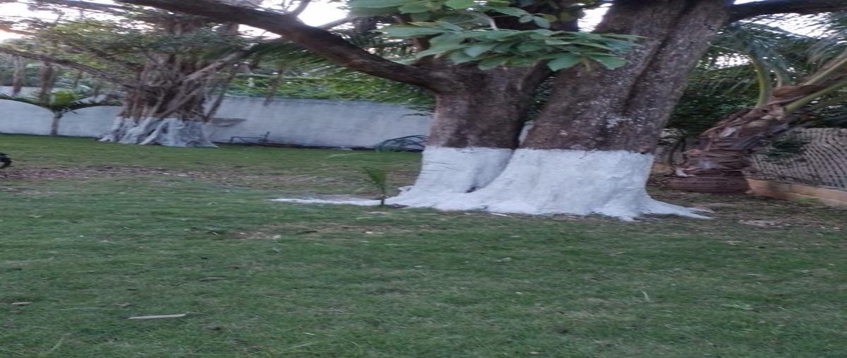 Foto de casa en renta en  , alfredo v bonfil, benito juárez, quintana roo, 30999996 No. 05