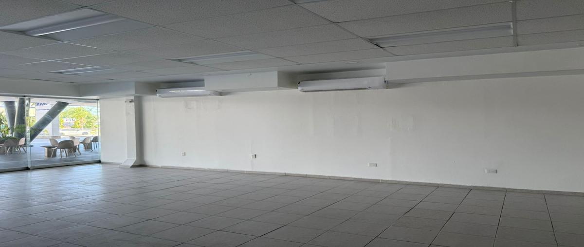 Foto de local en renta en  , alfredo v bonfil, benito juárez, quintana roo, 0 No. 05