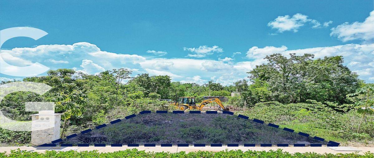 Foto de terreno habitacional en venta en  , alfredo v bonfil, benito juárez, quintana roo, 0 No. 05