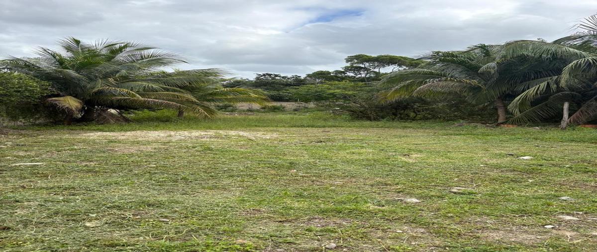 Foto de terreno habitacional en renta en  , alfredo v bonfil, benito juárez, quintana roo, 0 No. 03