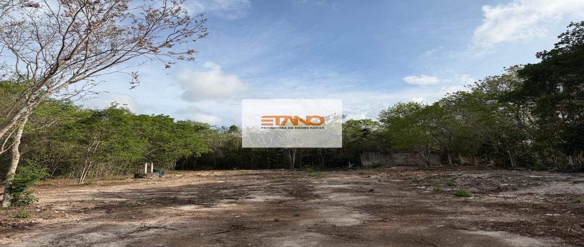 Foto de terreno habitacional en renta en  , alfredo v bonfil, benito juárez, quintana roo, 0 No. 04