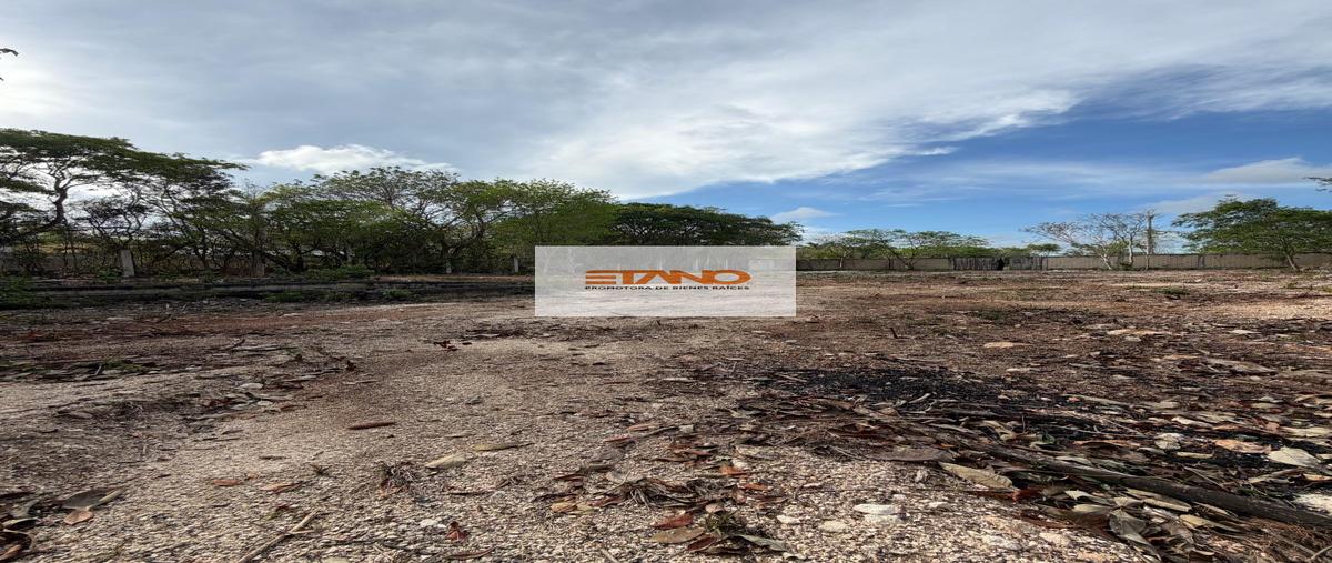 Foto de terreno habitacional en renta en  , alfredo v bonfil, benito juárez, quintana roo, 0 No. 05