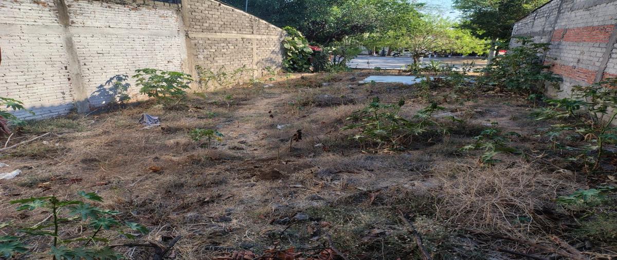 Foto de terreno habitacional en , alfredo v bonfil, villa de álvarez, colima, 0 foto 05 Foto de terreno habitacional en venta en , alfredo v bonfil, villa de álvarez, colima, 0 No. 05