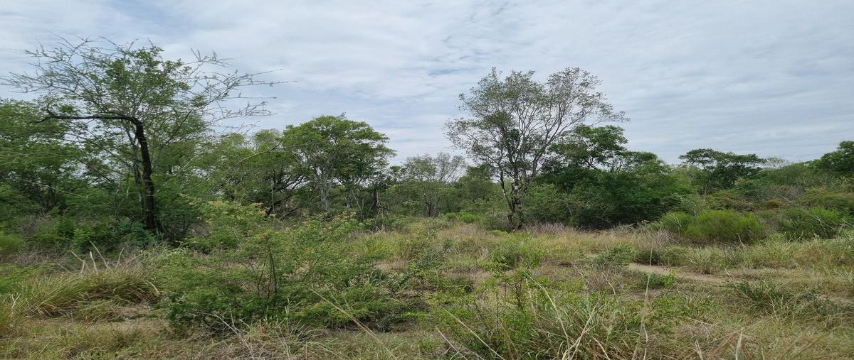 Foto de terreno habitacional en allende , atongo de abajo (atongo allende), allende, nuevo león, 30187415 foto 04 Foto de terreno habitacional en venta en allende , atongo de abajo (atongo allende), allende, nuevo león, 30187415 No. 04