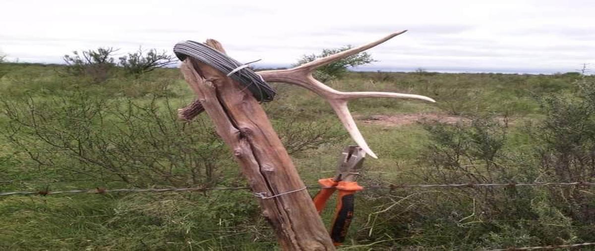 Foto de rancho en venta en  , allende centro, allende, coahuila de zaragoza, 28527428 No. 05