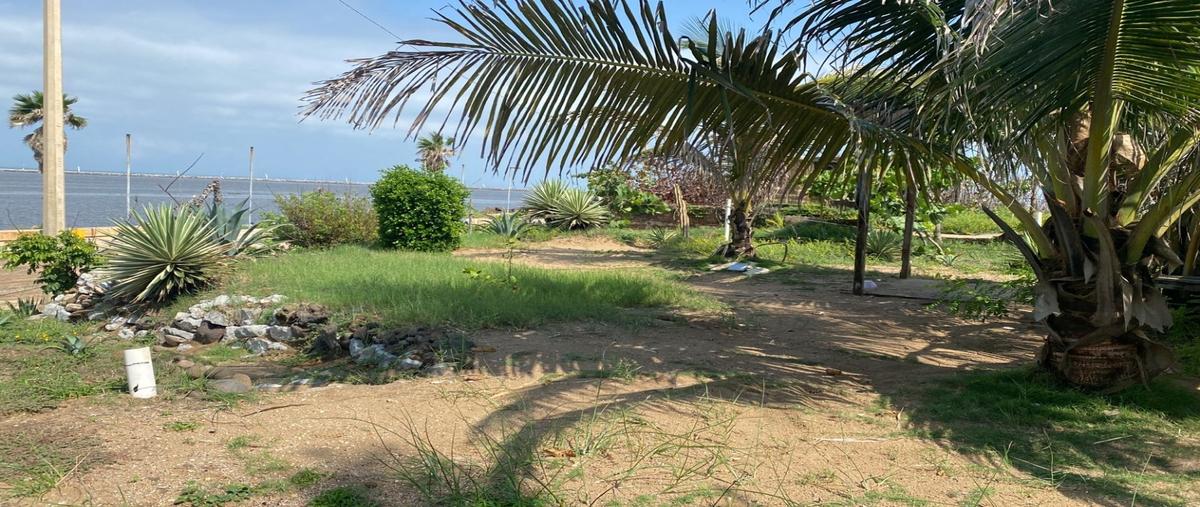 Foto de terreno habitacional en venta en  , allende centro, coatzacoalcos, veracruz de ignacio de la llave, 26813199 No. 02