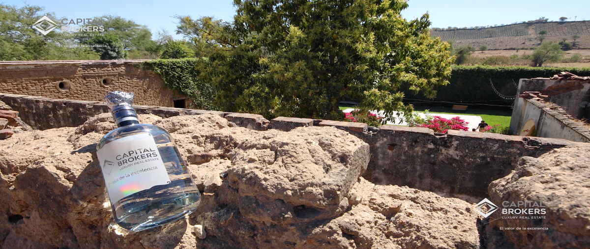 Foto de rancho en venta en allende , el arenal, el arenal, jalisco, 19623954 No. 03