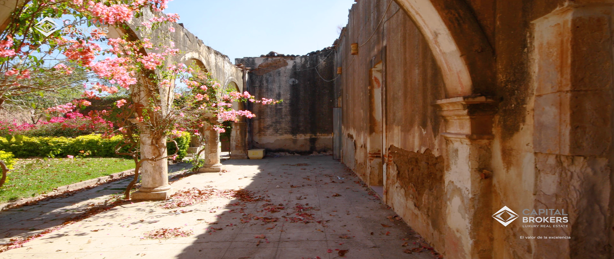 Foto de rancho en venta en allende , el arenal, el arenal, jalisco, 19623954 No. 04
