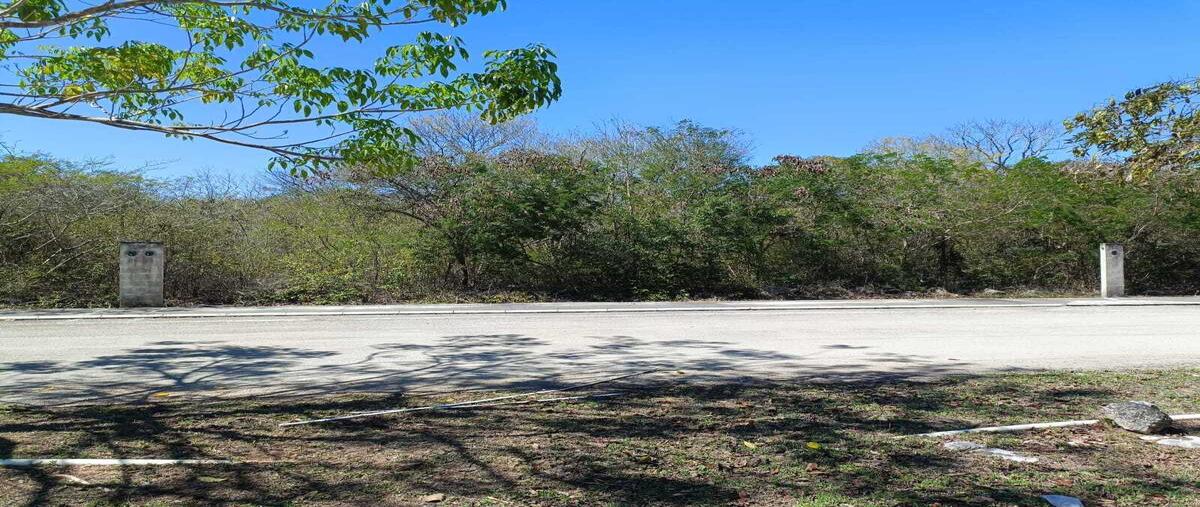 Foto de terreno habitacional en venta en almendros , la rejoyada, mérida, yucatán, 29400817 No. 04