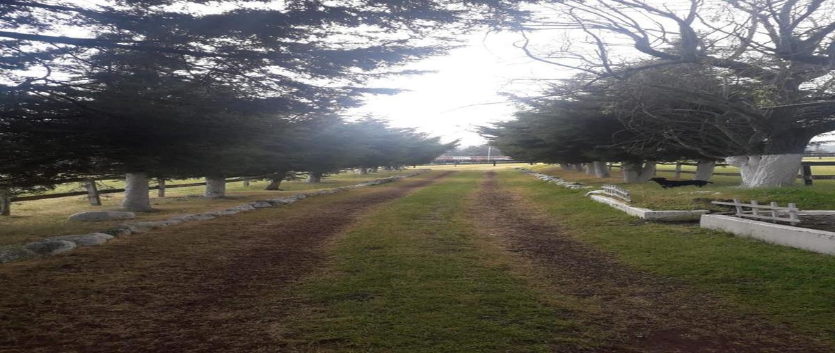 Foto de rancho en venta en  , almoloya de juárez centro, almoloya de juárez, méxico, 0 No. 03