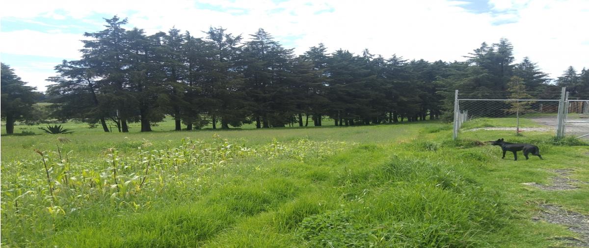 Foto de terreno habitacional en venta en  , almoloya de juárez, toluca, méxico, 28478496 No. 03