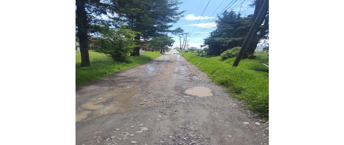 Foto de terreno habitacional en venta en  , almoloya de juárez, toluca, méxico, 28478496 No. 04