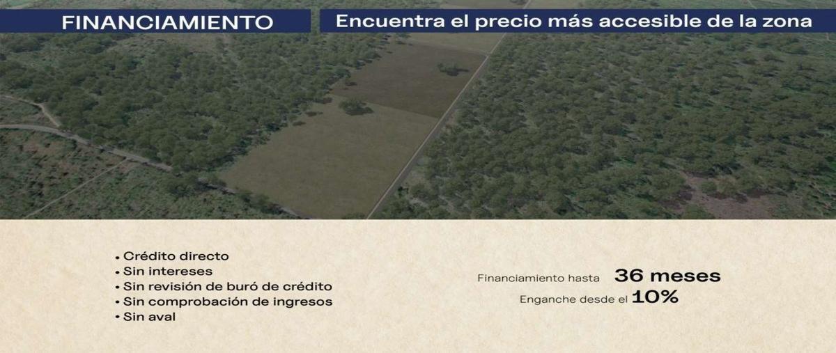 Foto de terreno habitacional en venta en aloma , yaxkukul, yaxkukul, yucatán, 0 No. 03