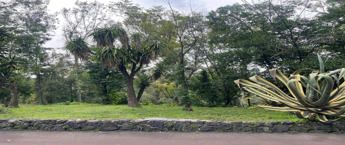 Foto de terreno industrial en alpes , lomas de chapultepec vii sección, miguel hidalgo, df / cdmx, 31544127 foto 03 Foto de terreno industrial en venta en alpes , lomas de chapultepec vii sección, miguel hidalgo, df / cdmx, 31544127 No. 03