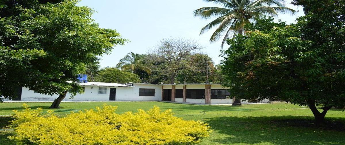 Foto de terreno habitacional en venta en  , alpuyeca, xochitepec, morelos, 10774836 No. 03