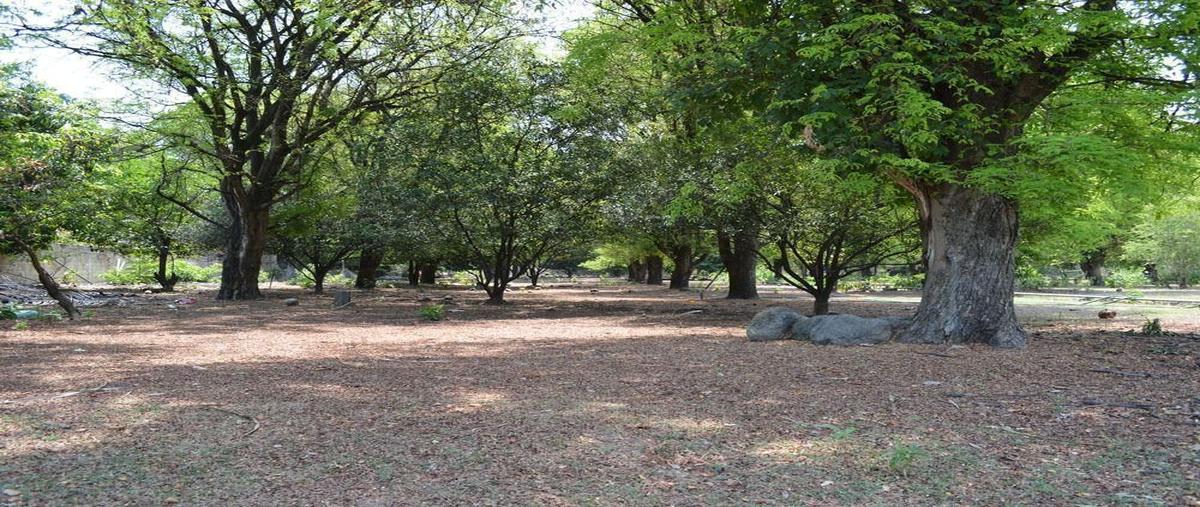 Foto de terreno habitacional en venta en  , alpuyeca, xochitepec, morelos, 10774836 No. 04