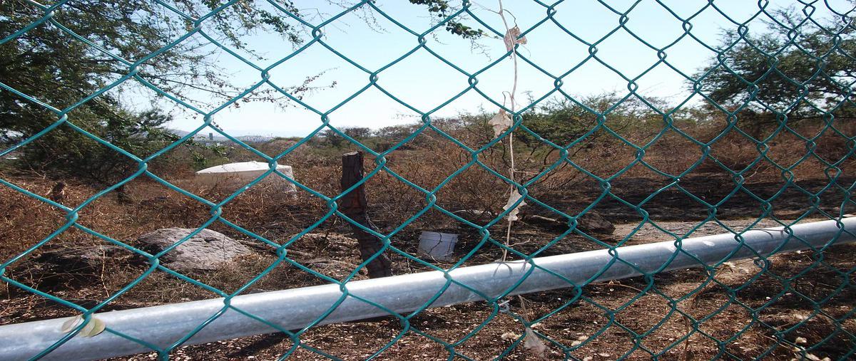 Foto de terreno habitacional en venta en  , alpuyeca, xochitepec, morelos, 24716034 No. 03