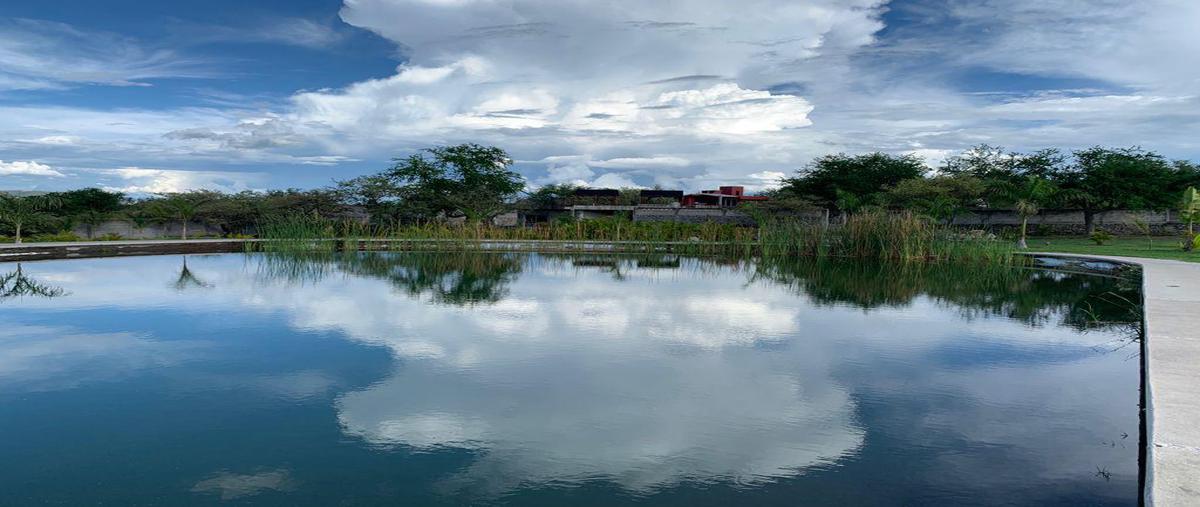 Foto de terreno habitacional en venta en  , alpuyeca, xochitepec, morelos, 0 No. 05