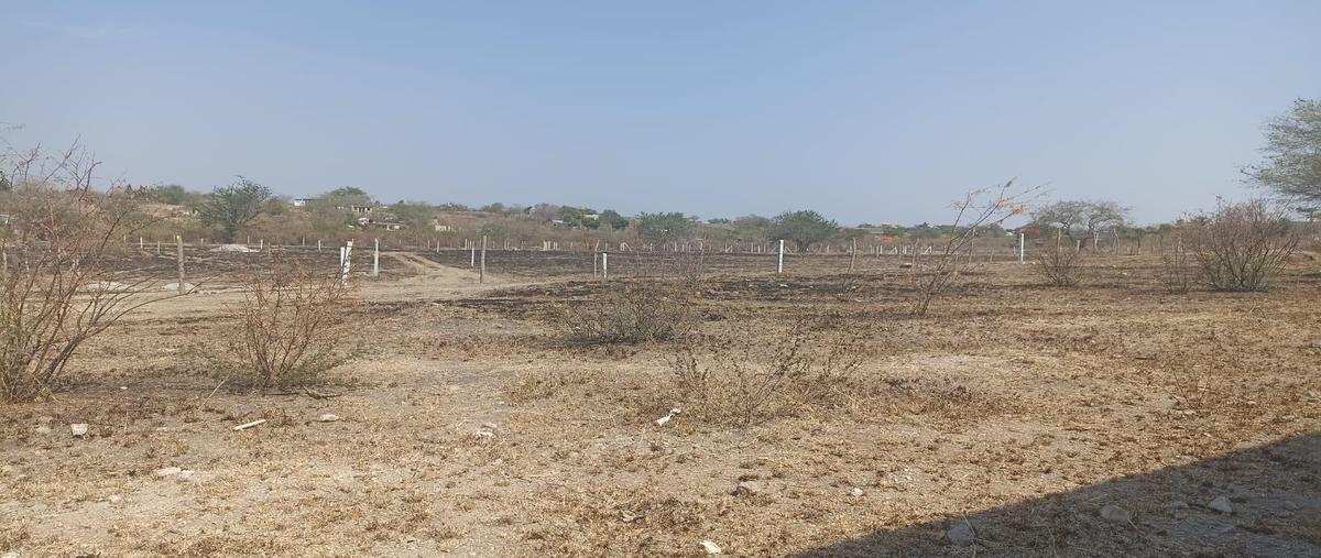 Foto de terreno habitacional en venta en  , alpuyeca, xochitepec, morelos, 0 No. 03