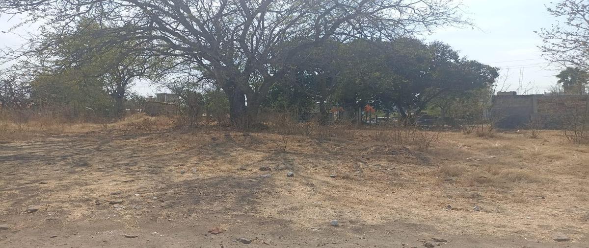 Foto de terreno habitacional en venta en  , alpuyeca, xochitepec, morelos, 0 No. 04