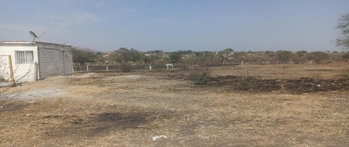 Foto de terreno habitacional en venta en  , alpuyeca, xochitepec, morelos, 0 No. 05