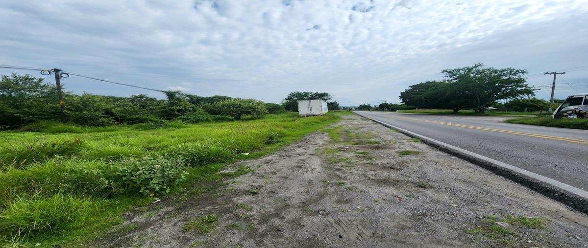 Foto de terreno habitacional en venta en  , alpuyeca, xochitepec, morelos, 0 No. 05