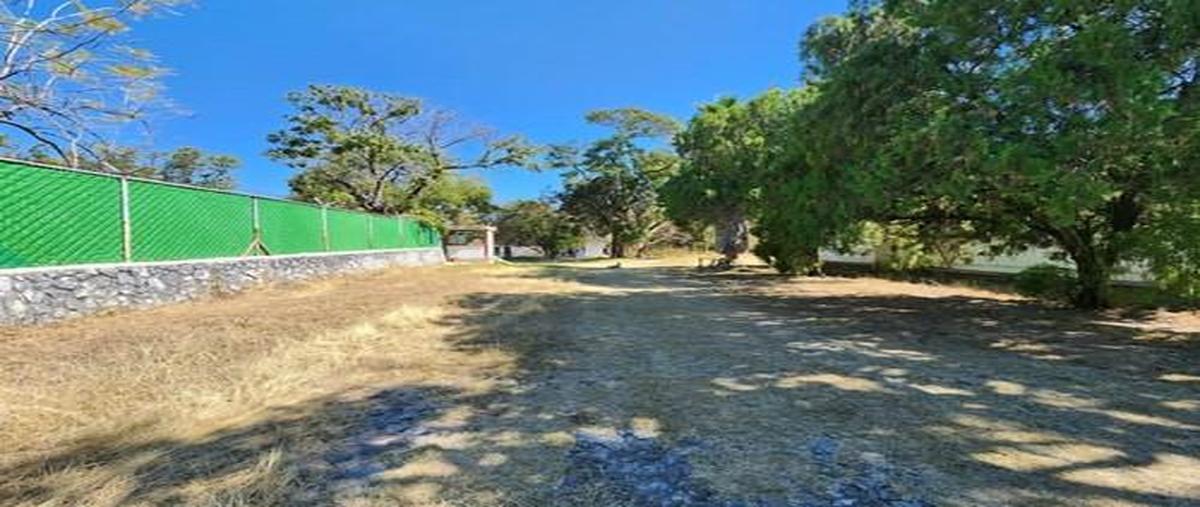 Foto de terreno habitacional en venta en  , alpuyeca, xochitepec, morelos, 0 No. 04