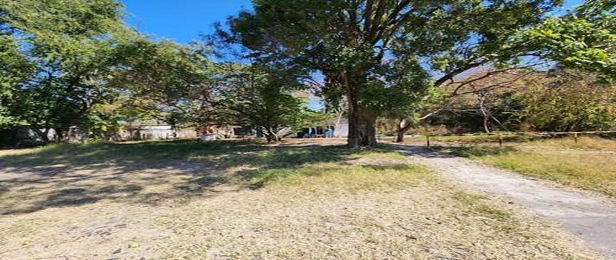 Foto de terreno habitacional en venta en  , alpuyeca, xochitepec, morelos, 0 No. 05