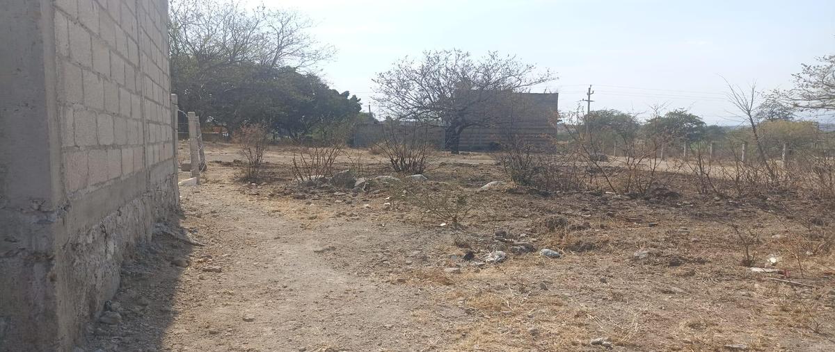 Foto de terreno habitacional en venta en  , alpuyeca, xochitepec, morelos, 30299492 No. 04