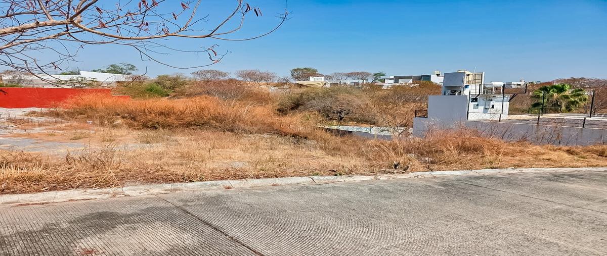 Foto de terreno habitacional en venta en  , alpuyeca, xochitepec, morelos, 31499315 No. 05