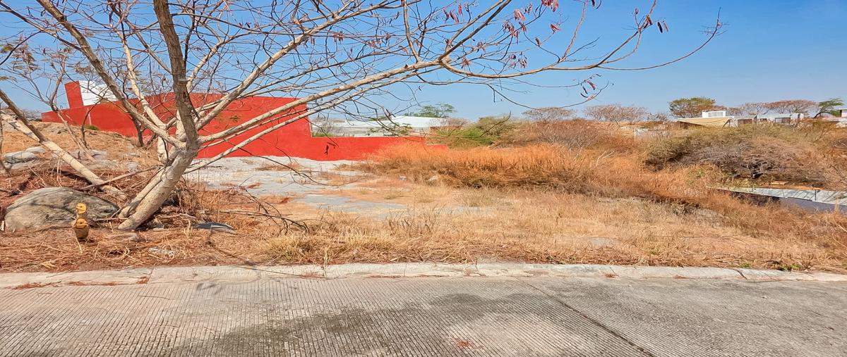 Foto de terreno habitacional en venta en  , alpuyeca, xochitepec, morelos, 31499317 No. 04