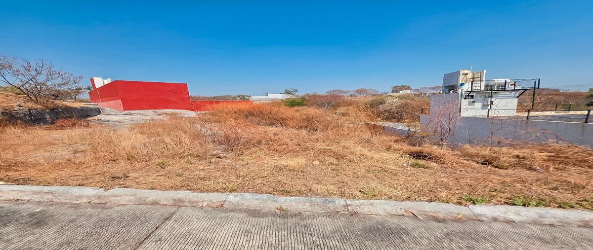 Foto de terreno habitacional en venta en  , alpuyeca, xochitepec, morelos, 31499317 No. 05