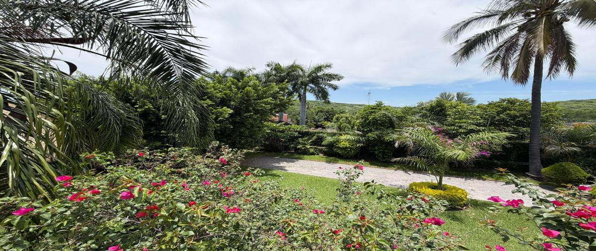 Foto de casa en venta en  , alpuyeca, xochitepec, morelos, 0 No. 03