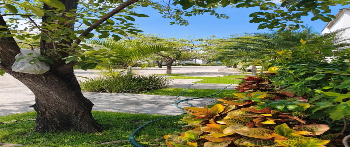 Foto de casa en condominio en venta en  , alpuyeca, xochitepec, morelos, 0 No. 05