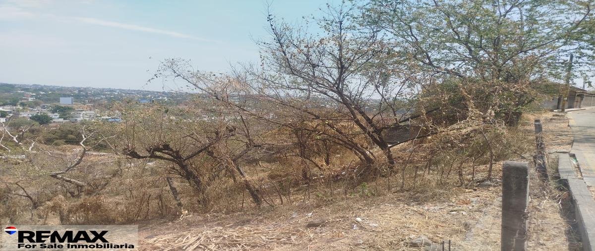 Foto de terreno habitacional en venta en alta palmira , alta palmira, temixco, morelos, 29531991 No. 05