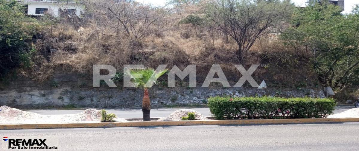 Foto de terreno habitacional en alta palmira , alta palmira, temixco, morelos, 0 foto 04 Foto de terreno habitacional en venta en alta palmira , alta palmira, temixco, morelos, 0 No. 04
