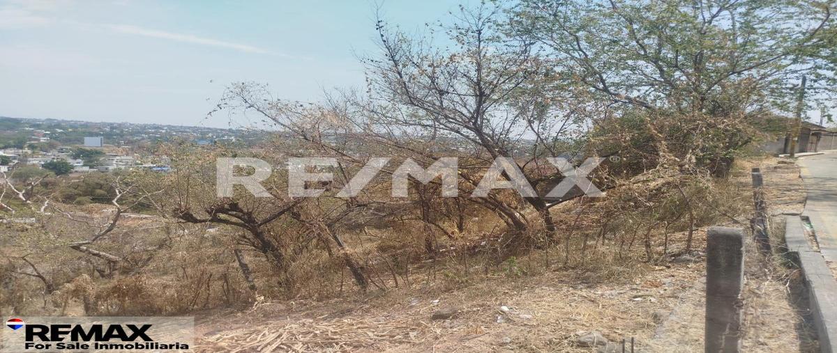 Foto de terreno habitacional en alta palmira , alta palmira, temixco, morelos, 0 foto 05 Foto de terreno habitacional en venta en alta palmira , alta palmira, temixco, morelos, 0 No. 05