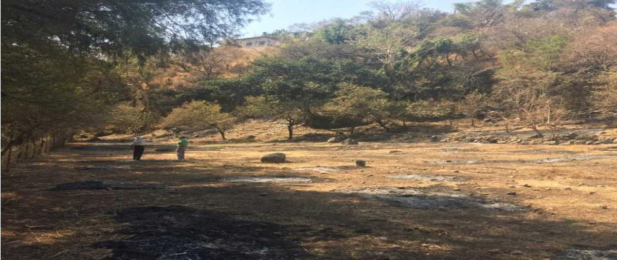 Foto de terreno habitacional en venta en  , alta palmira, temixco, morelos, 0 No. 03