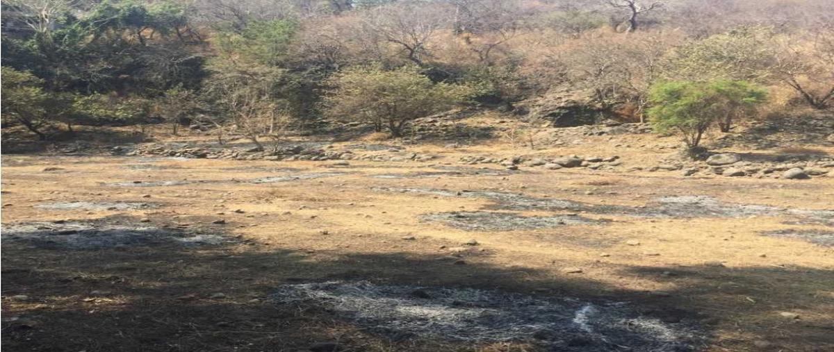 Foto de terreno habitacional en venta en  , alta palmira, temixco, morelos, 0 No. 04