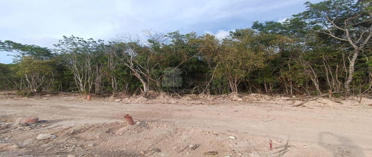 Foto de terreno comercial en venta en altai 5, cancún (internacional de cancún), benito juárez, quintana roo, 0 No. 05