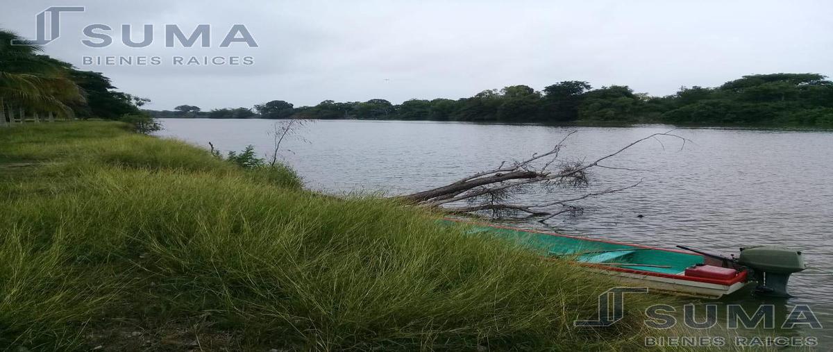 Foto de terreno habitacional en venta en  , altamira, altamira, tamaulipas, 18509241 No. 04