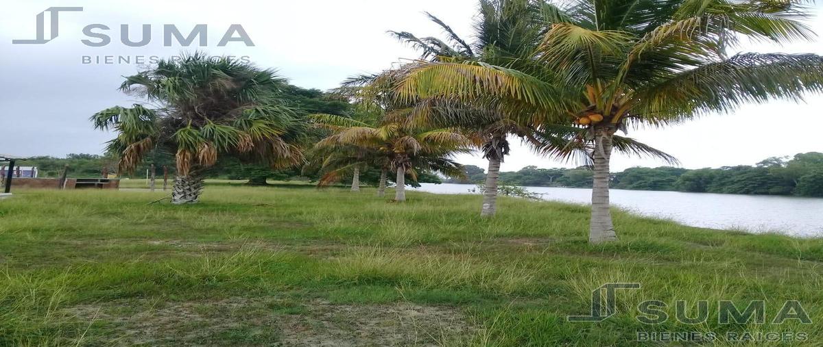 Foto de terreno habitacional en venta en  , altamira, altamira, tamaulipas, 18509241 No. 05